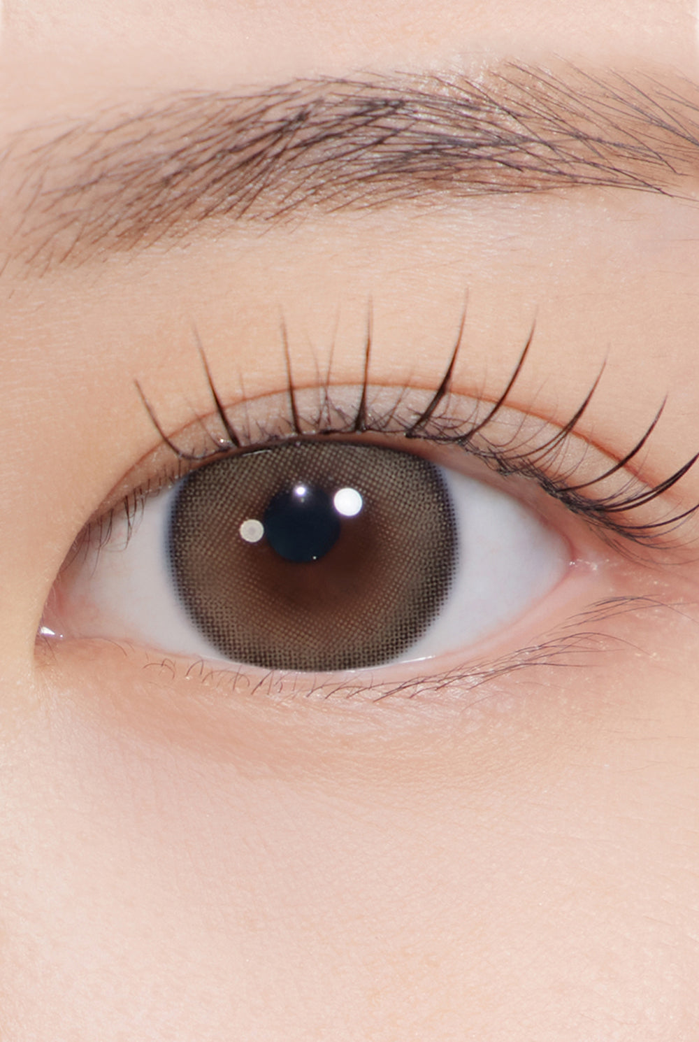 A To Z Kristin 1Day (13.9mm) - Brown (2pcs) | Hapa Kristin Global