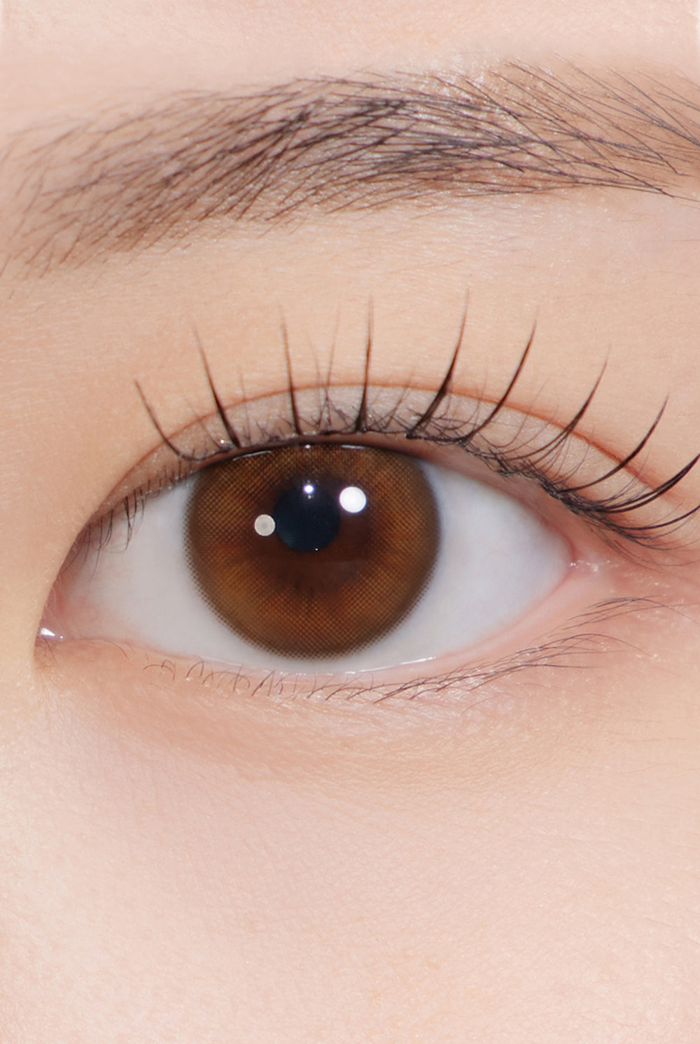 Bittersweet Kristin 1Day - Amber Brown (2pcs) | Hapa Kristin