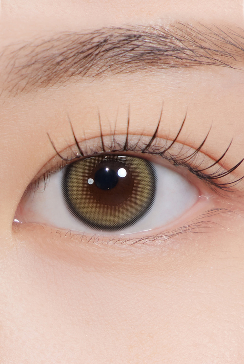 Cosmo Kristin 1Day - Champagne | Hapa Kristin Global store