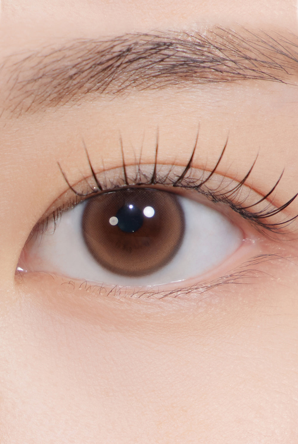 Dewy Kristin 1Day Brown! A clear feeling that looks like water