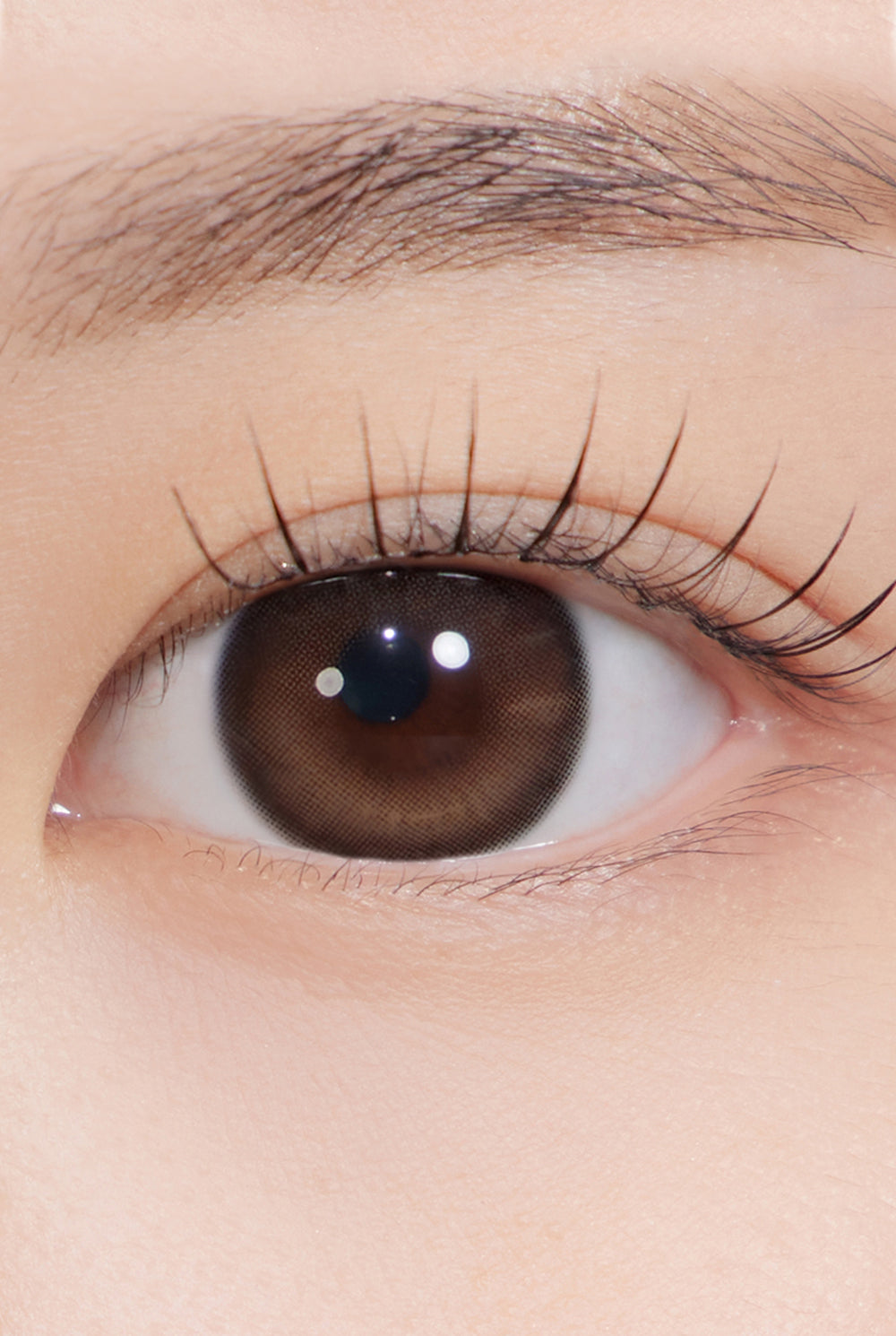 One&Only Kristin Big Plus (13.8) 1Day - Brown | Hapa Kristin
