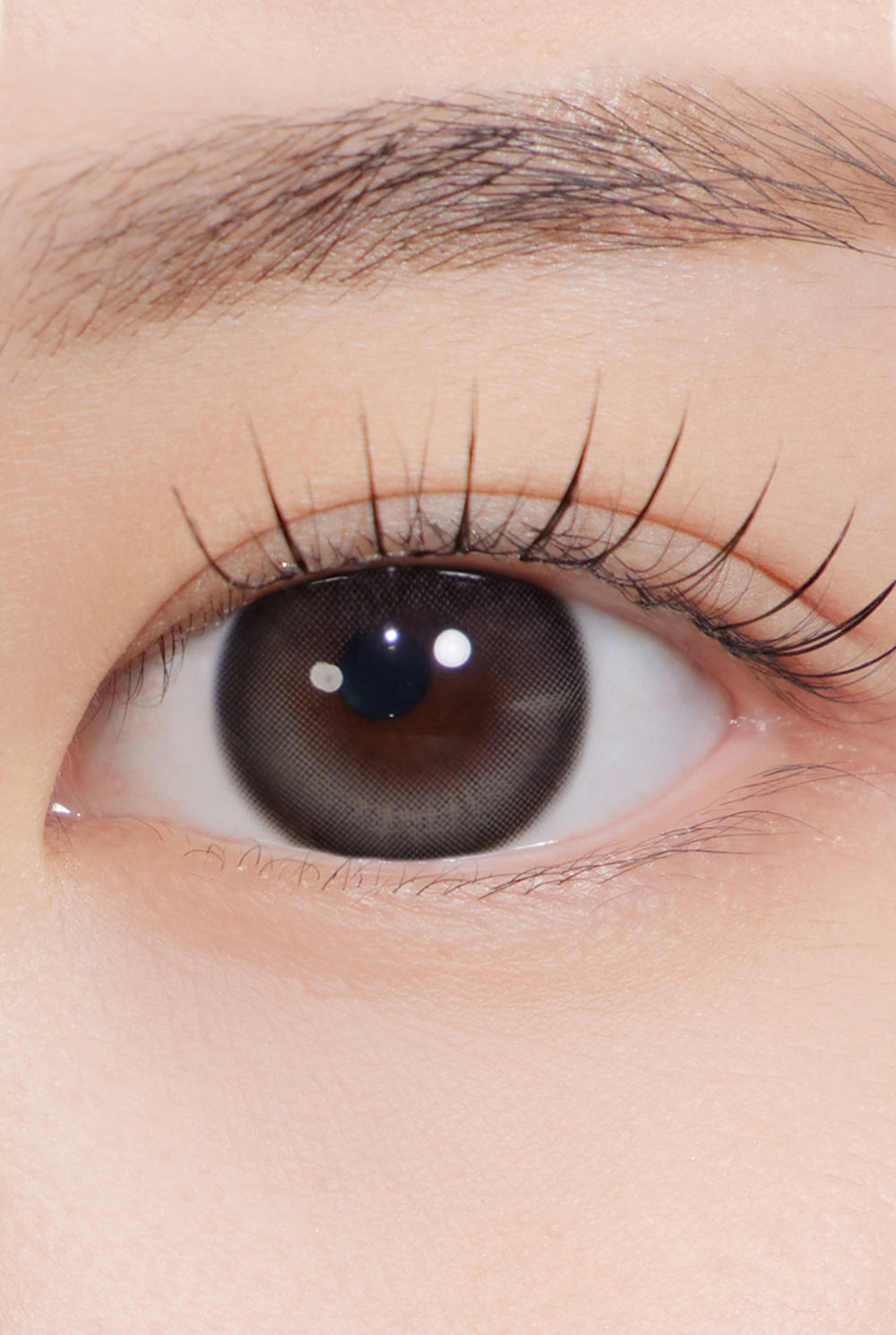 One&Only Kristin Big Plus (13.8) 1Day - Gray | Hapa Kristin Global