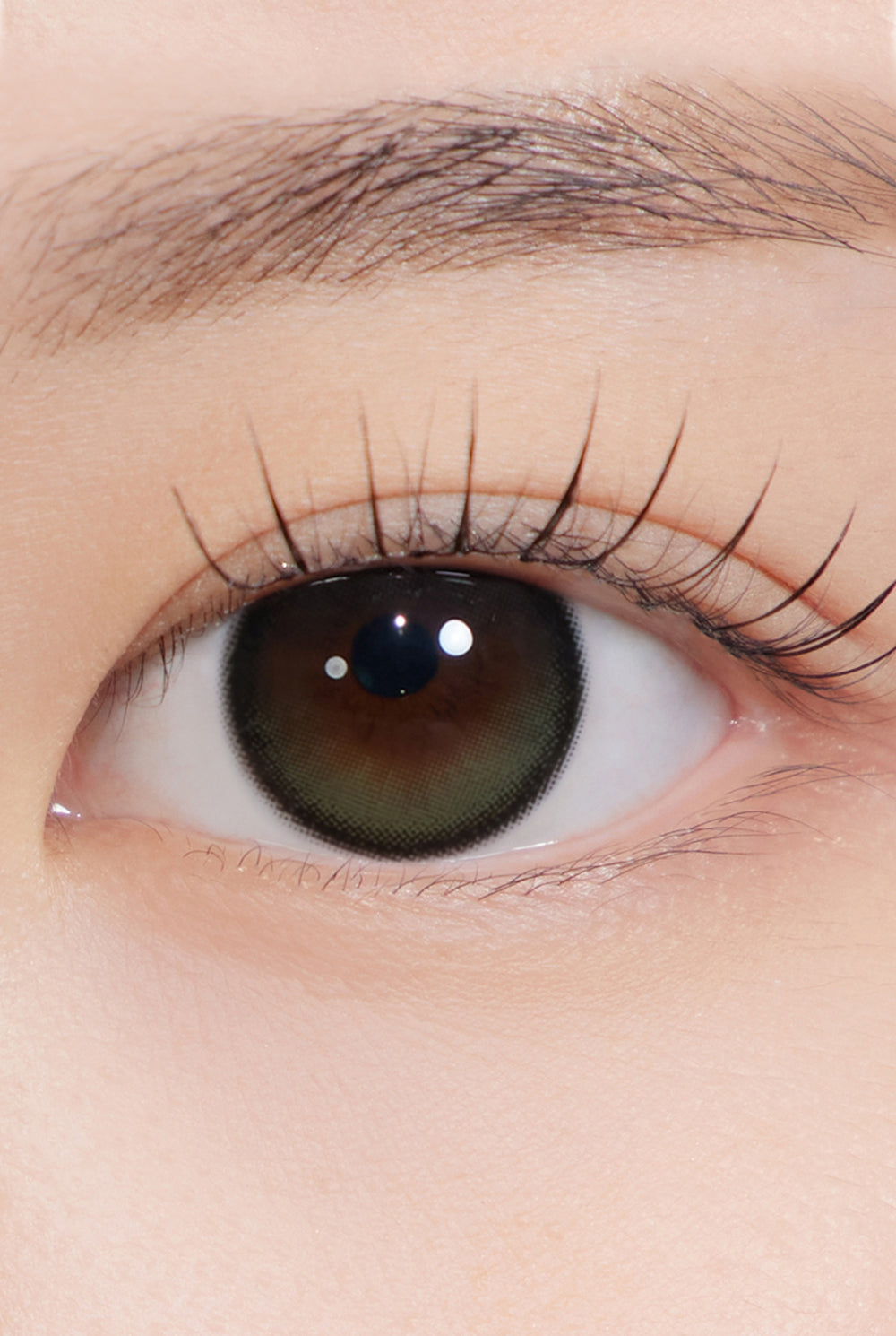 Secretive Kristin Plus (13.5) 1Day - Olive (2pcs) | Hapa Kristin