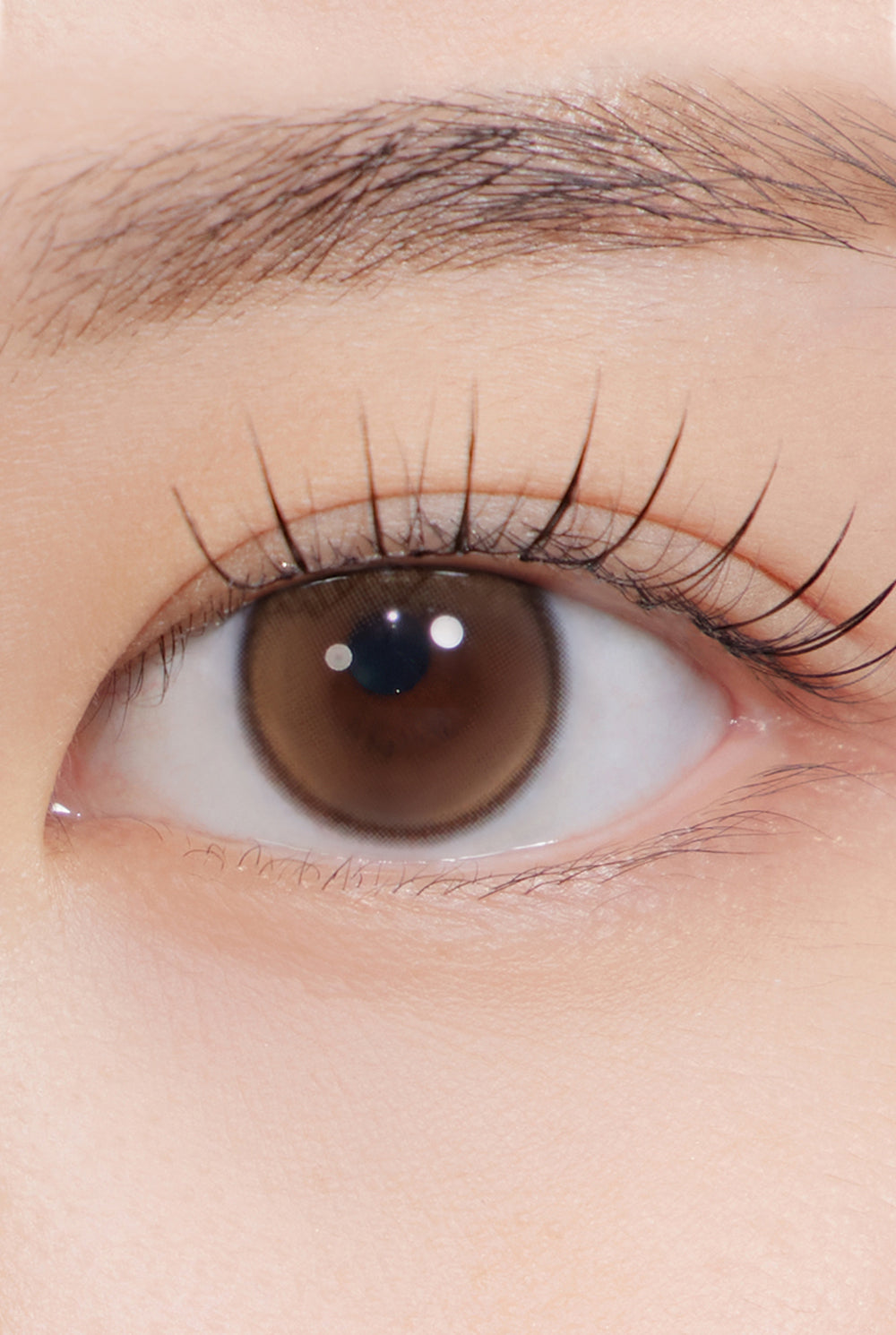 First Love Kristin l Korea Colored Contact Lens l Jang Won Young