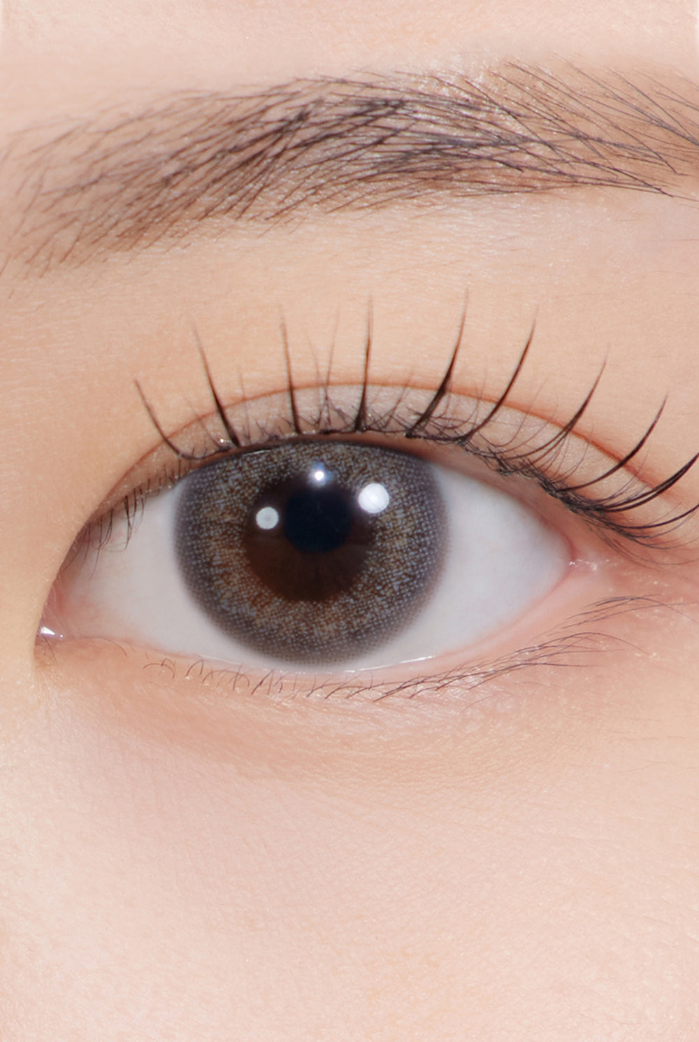 Comfortable Disposable Korean Colored Contacts l Sensitive Eyes
