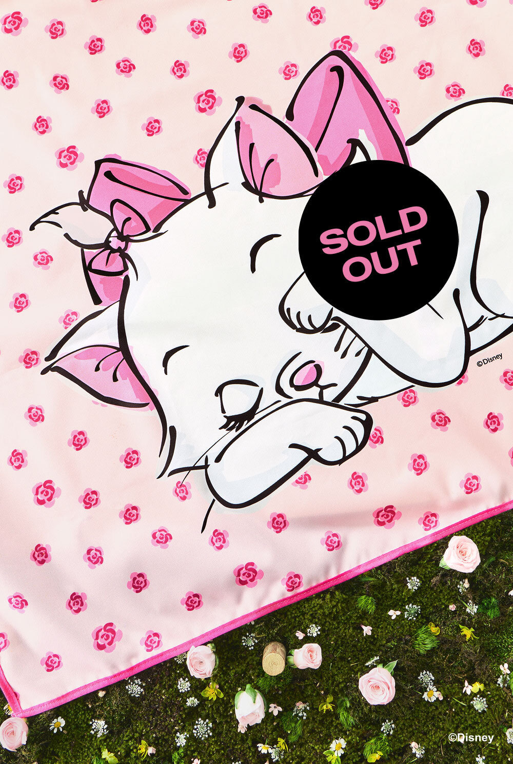 soldout-10.jpg?v=1781193538&