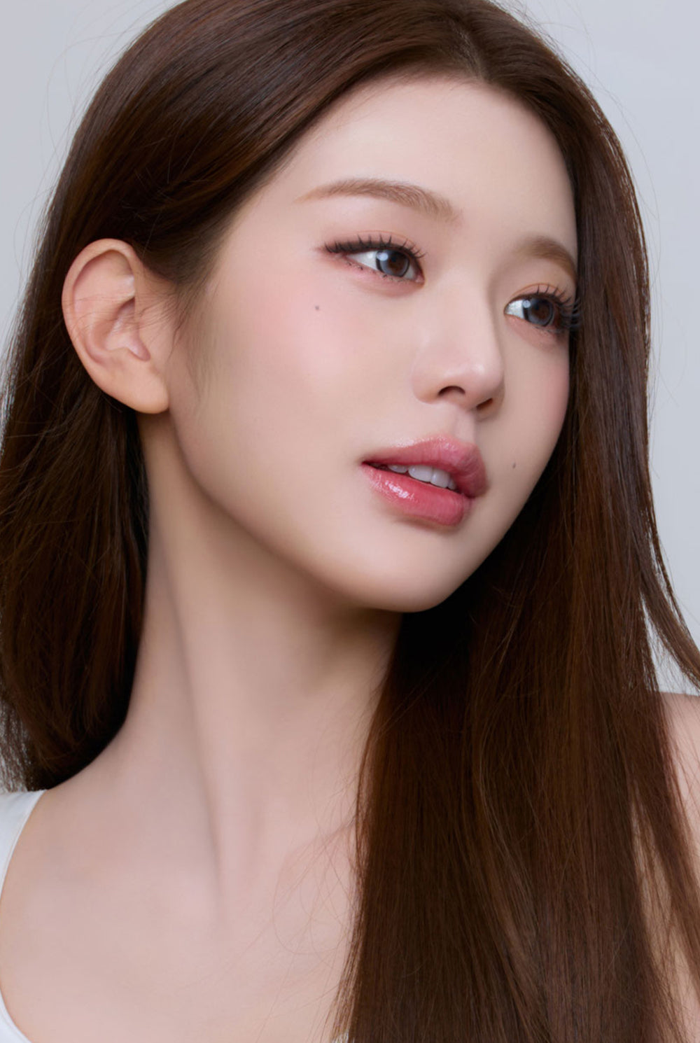 Cat-titude Kristin 1Day - Sapphire Gray | Hapa Kristin Global store